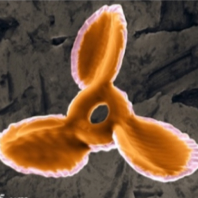 Microscope image of an orange nano motor against a dark background. The motor is shaped like a fan, with a central ring and three twisted, oval blades equally spaced around the outside.
